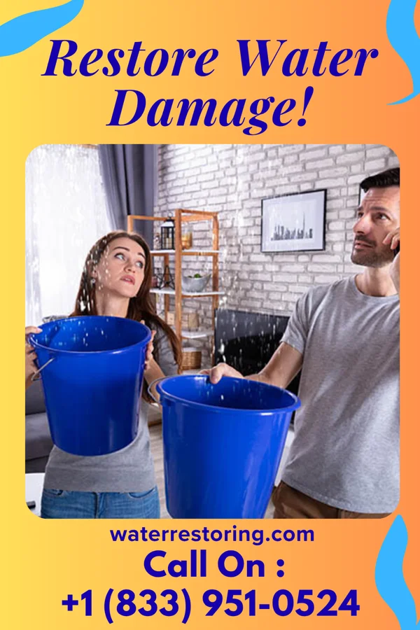 water restoration Citywide Disaster Cleanup Specialists Anchor